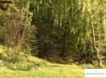 IMG-1071