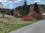 IMG_20220416_162846